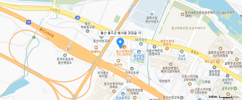 카카오맵