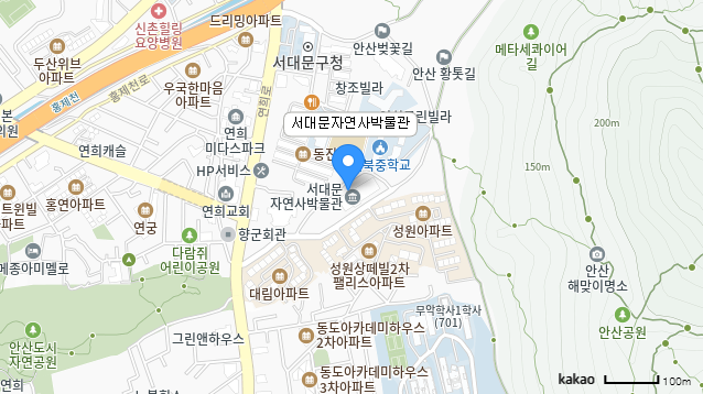 ���빮�ڿ���ڹ��� ����