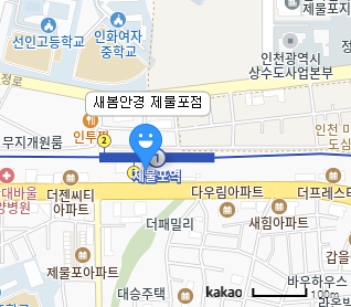 새봄안경 제물포점 카카오맵