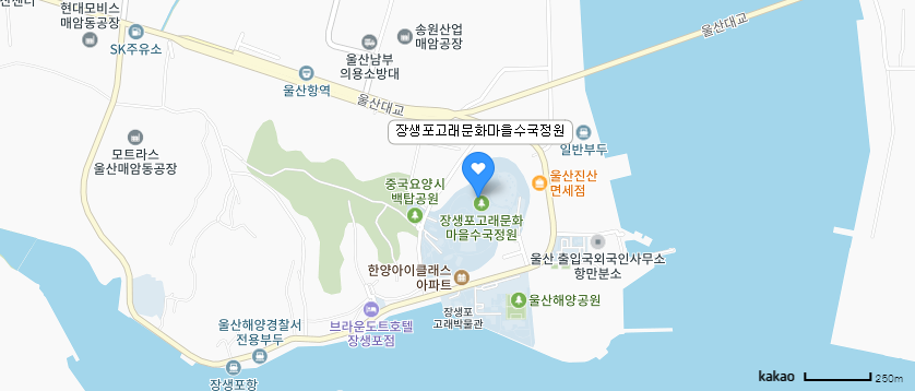 [울산 장생포] 수국 페스티벌과 보랏빛 물결 라벤더 정원 다녀왔어요.