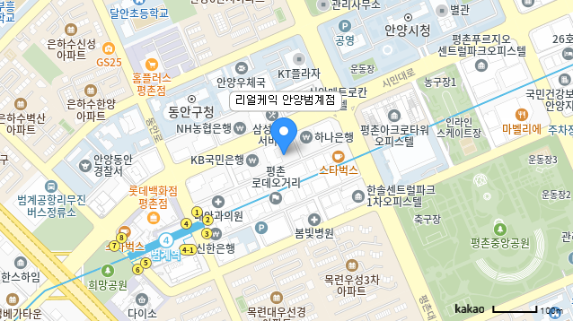 평촌대로227번길 이미지