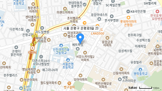 지도 이미지