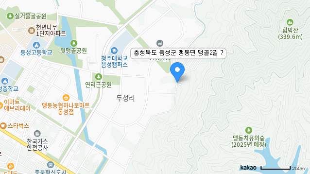 충청북도 음성군 맹동면 맹골2길 7 위치 지도