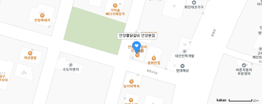 제철 냉이가 수북한 태백 물 닭갈비 맛보기