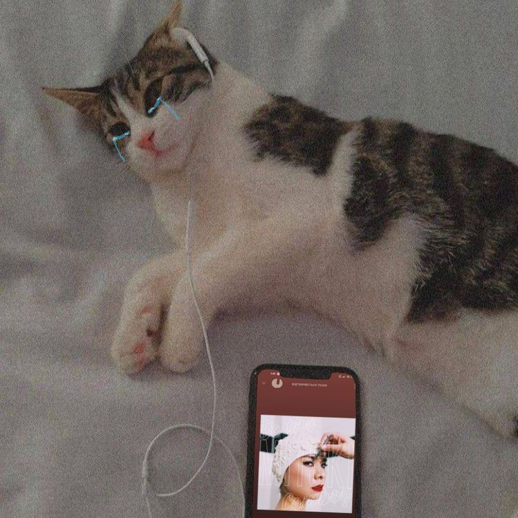 테이블 소개 이미지