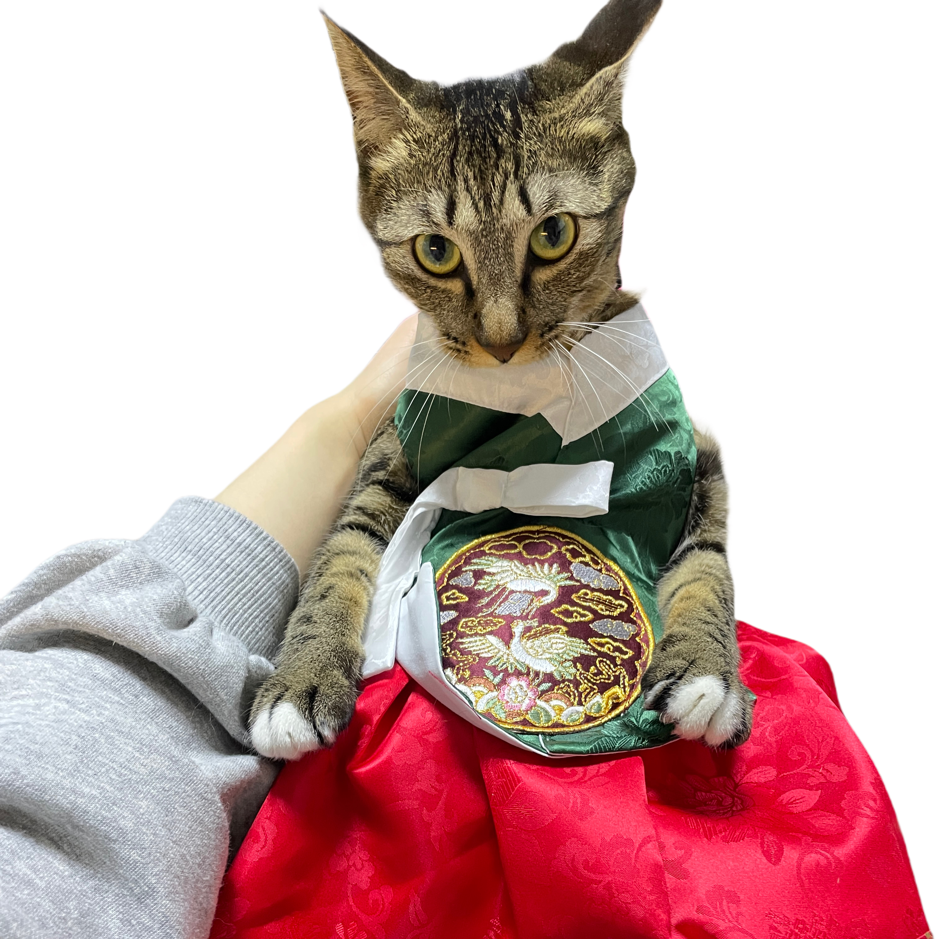 작성자 프로필 이미지