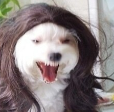 헤라 프로필 이미지