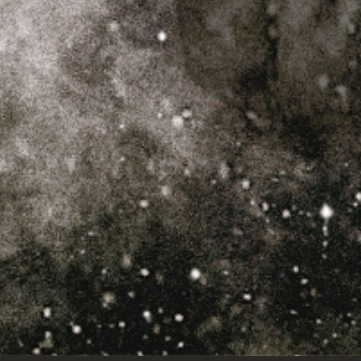 작성자 프로필 이미지