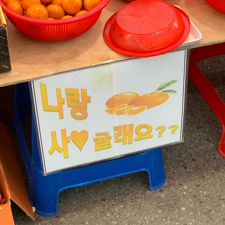 작성자 프로필 이미지