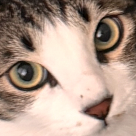 작성자 프로필 이미지