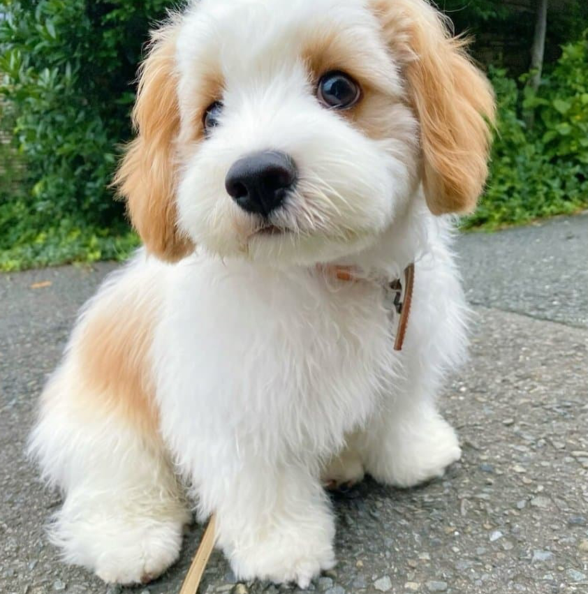 작성자 프로필 이미지