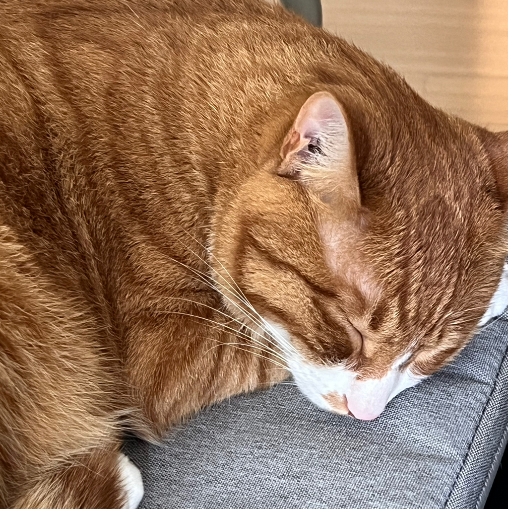 작성자 프로필 이미지