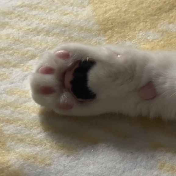 작성자 프로필 이미지