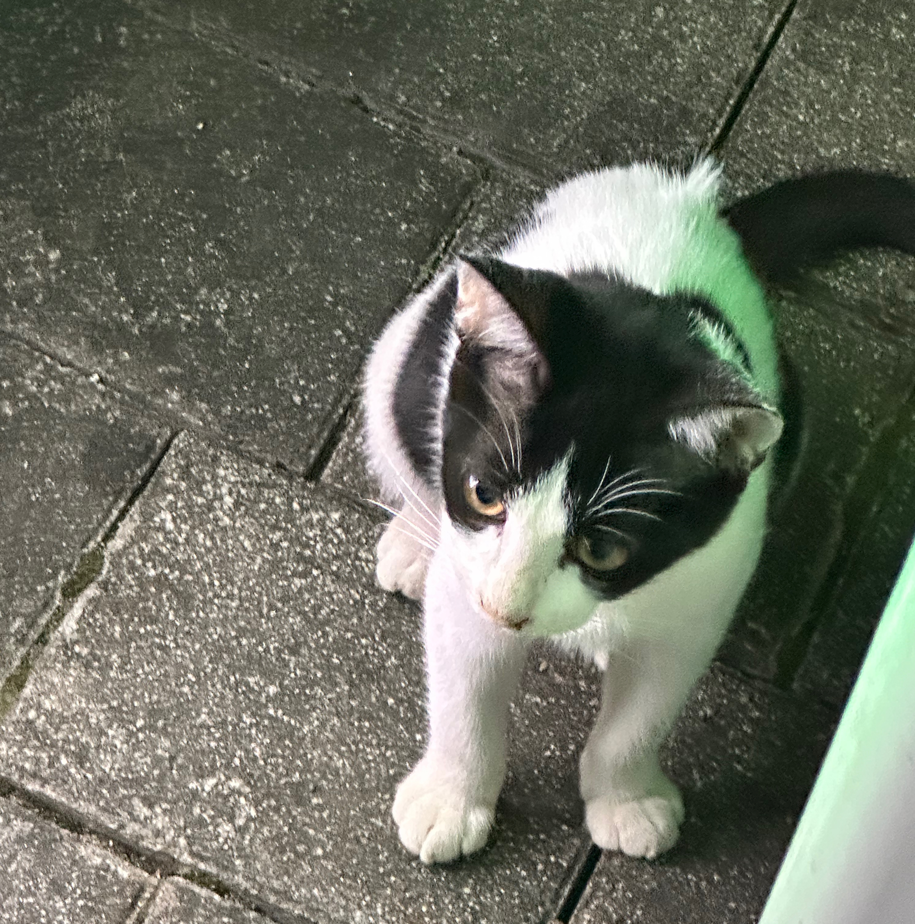 작성자 프로필 이미지