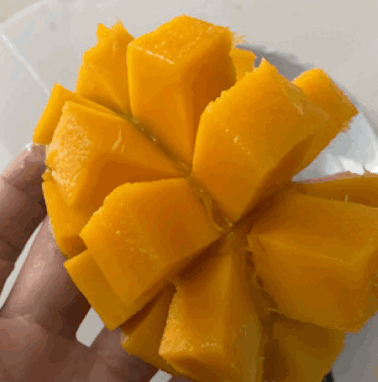 테이블 소개 이미지