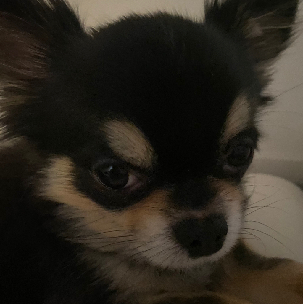 작성자 프로필 이미지