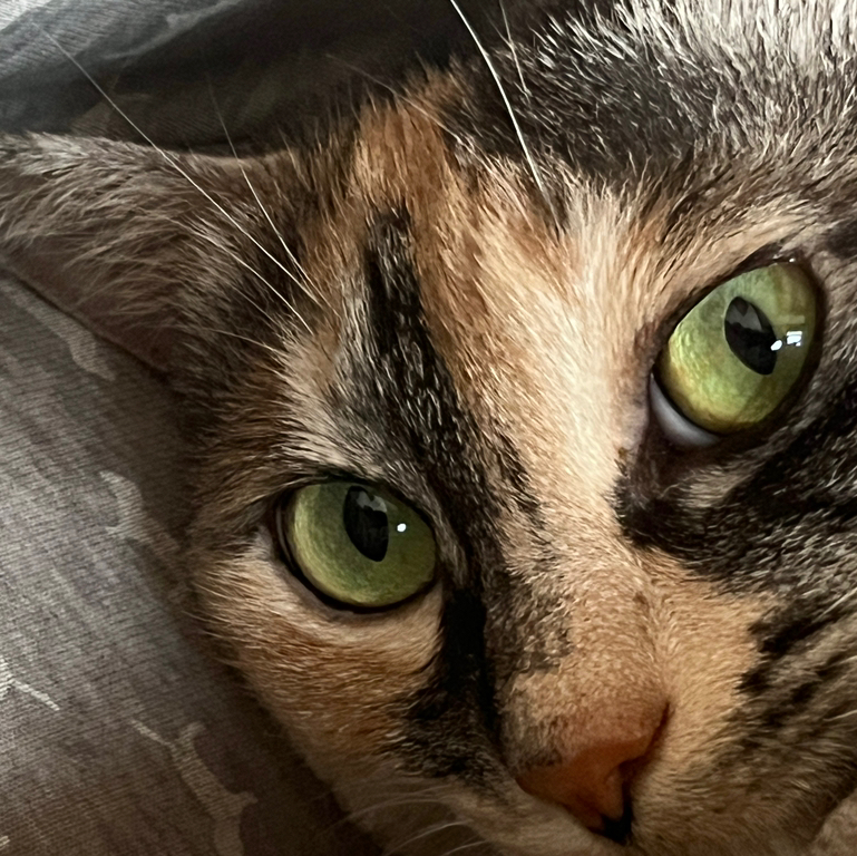 작성자 프로필 이미지