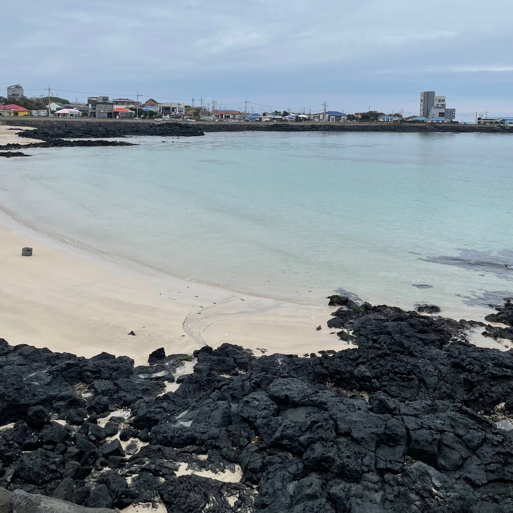 작성자 프로필 이미지