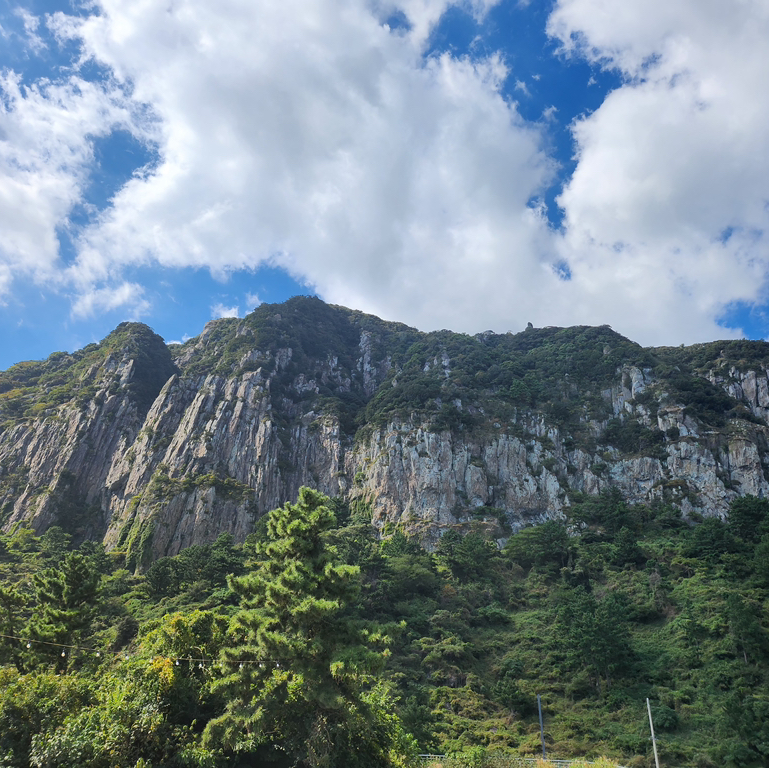 작성자 프로필 이미지