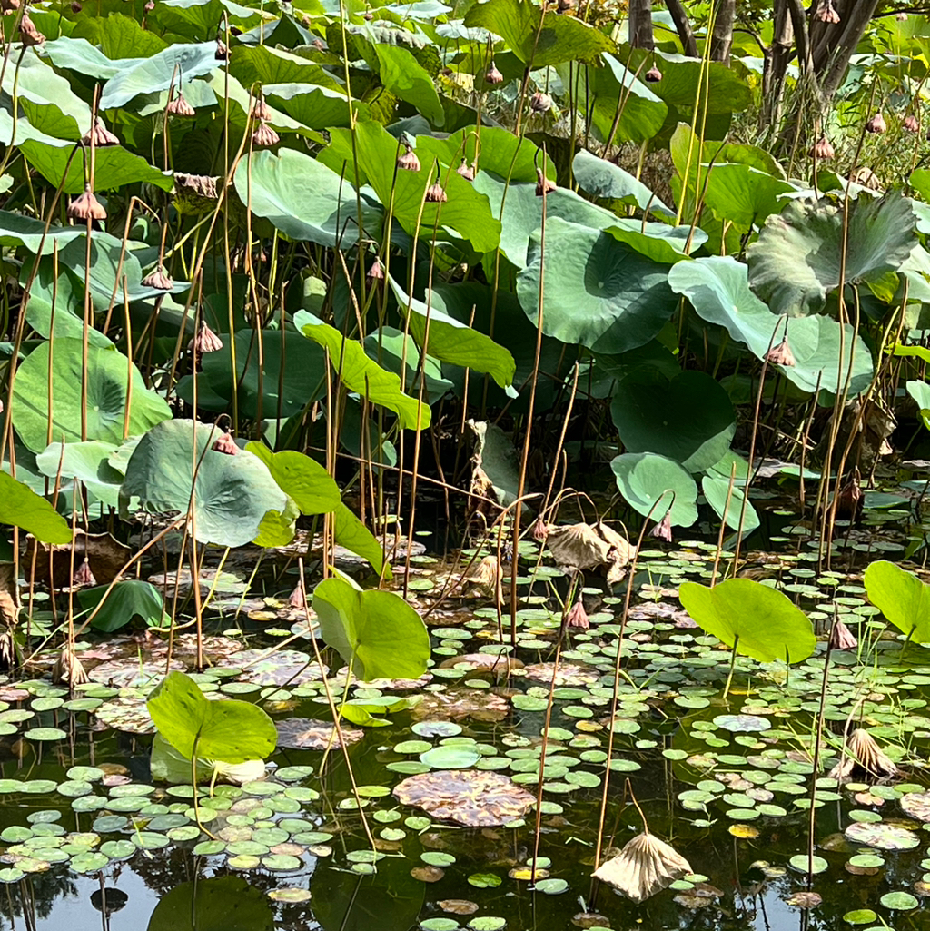 테이블 소개 이미지