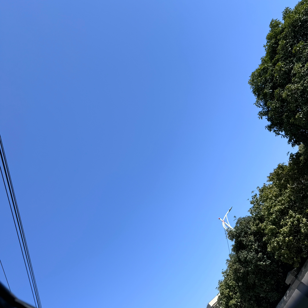 작성자 프로필 이미지