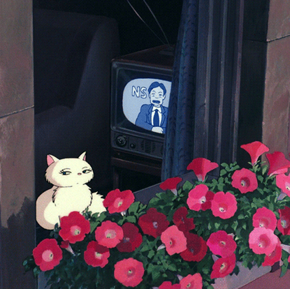 자기전에 보는 힐링짤