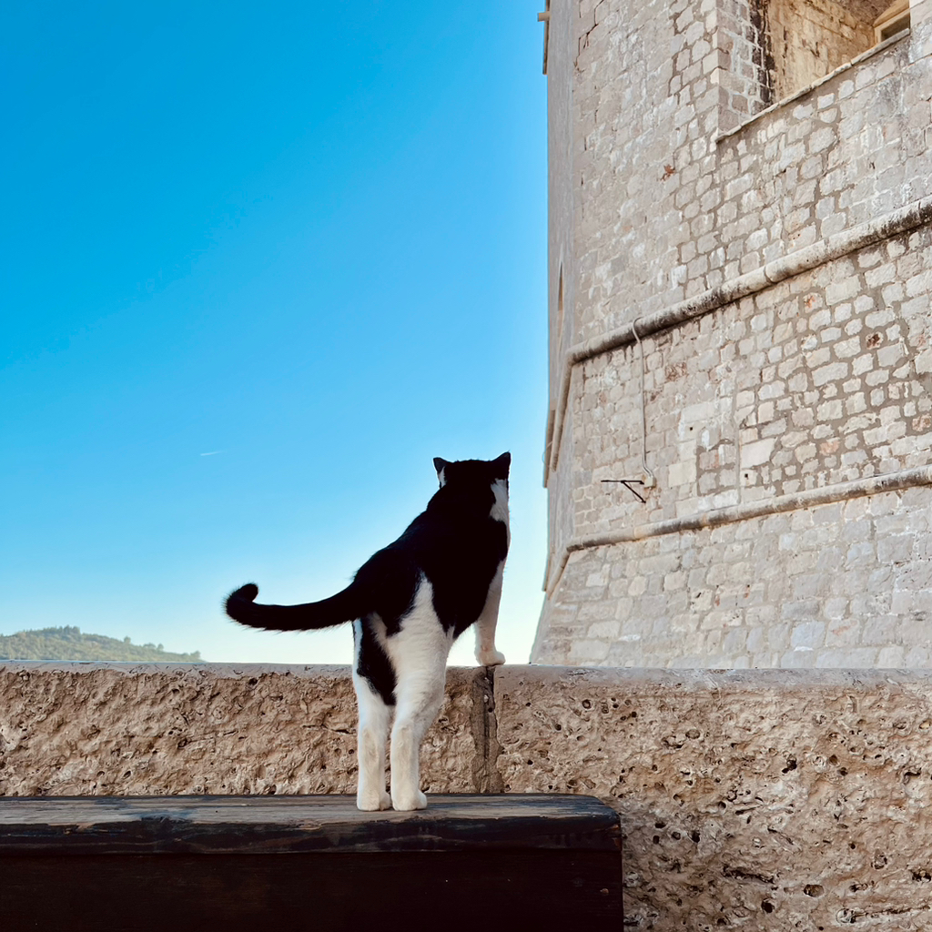 테이블 소개 이미지