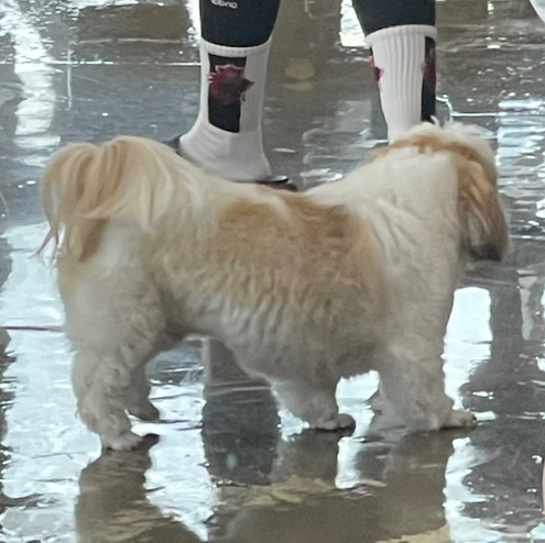 작성자 프로필 이미지