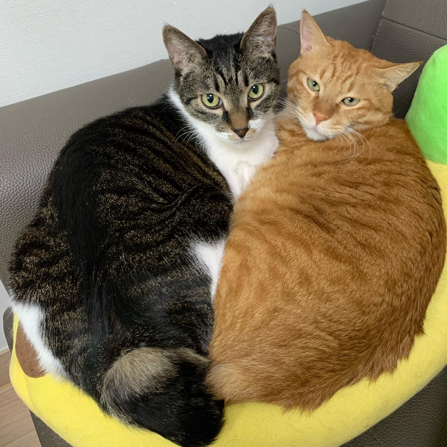 작성자 프로필 이미지