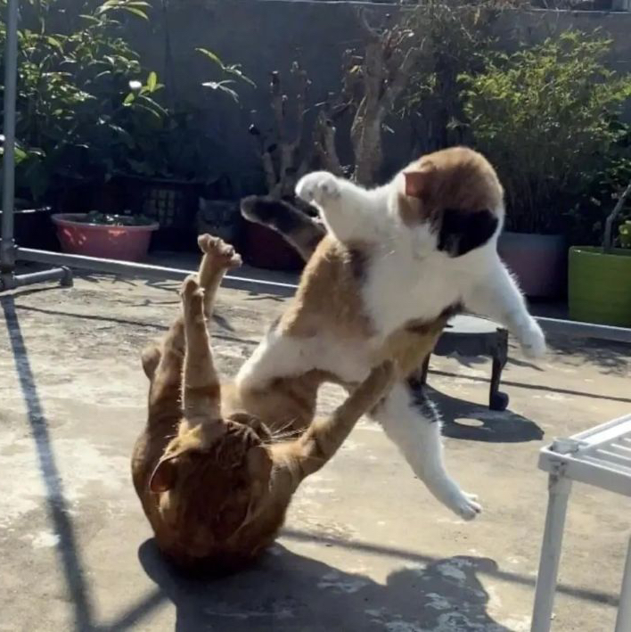 다시마 프로필 이미지