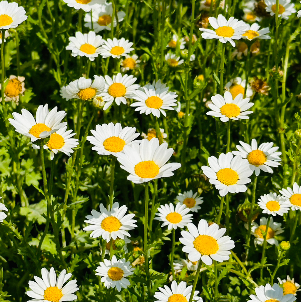 테이블 소개 이미지