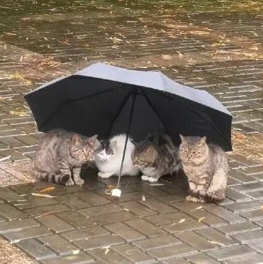 테이블 소개 이미지