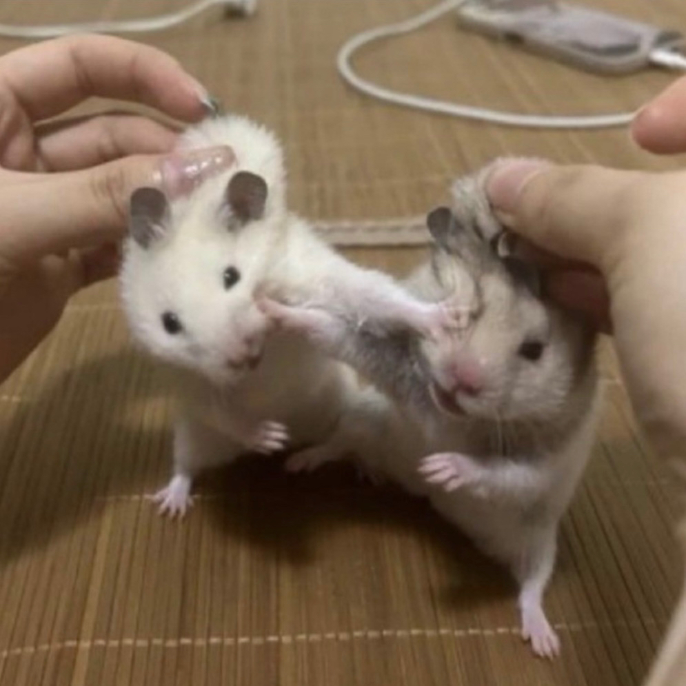 작성자 프로필 이미지