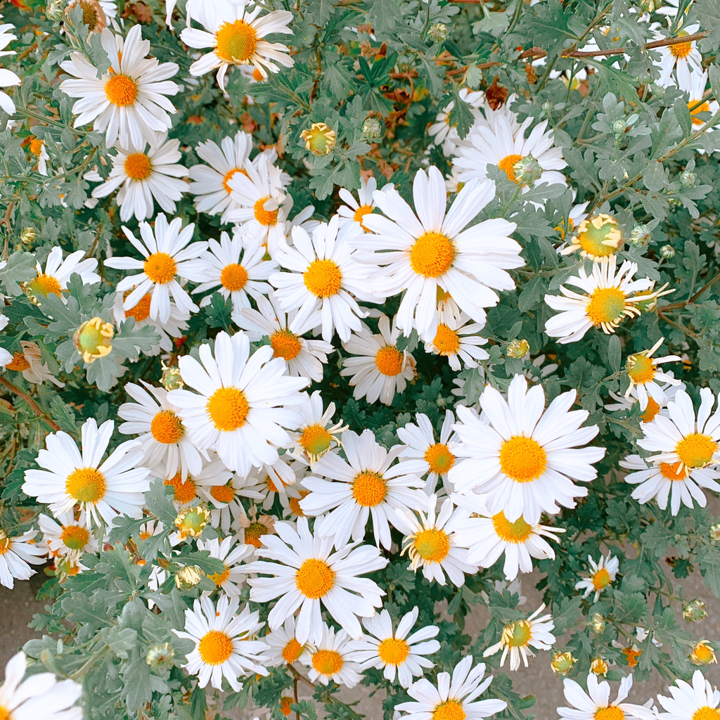 테이블 소개 이미지