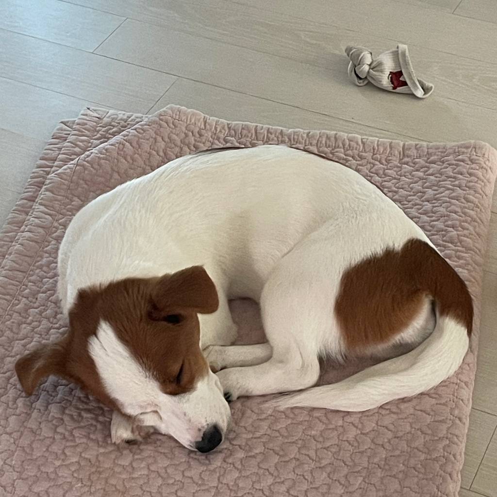 작성자 프로필 이미지