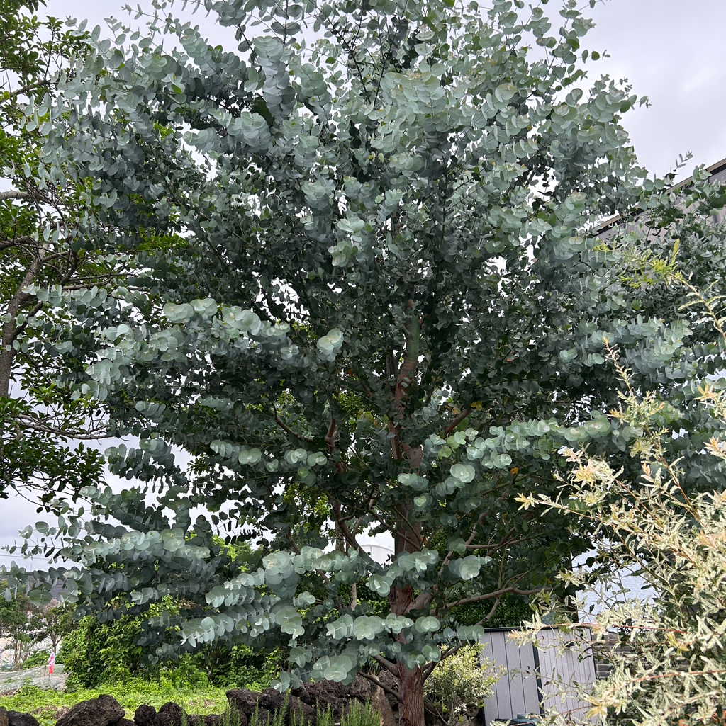 작성자 프로필 이미지