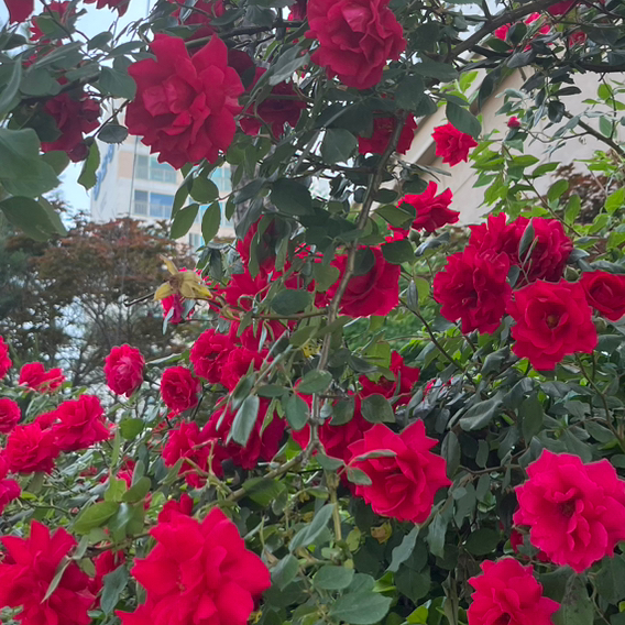 테이블 소개 이미지