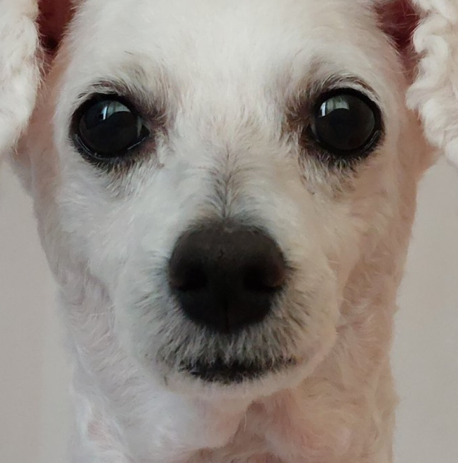 테이블 소개 이미지