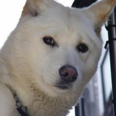 테이블 소개 이미지