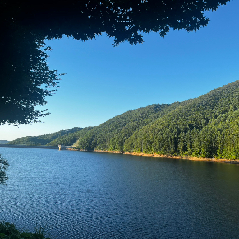 작성자 프로필 이미지