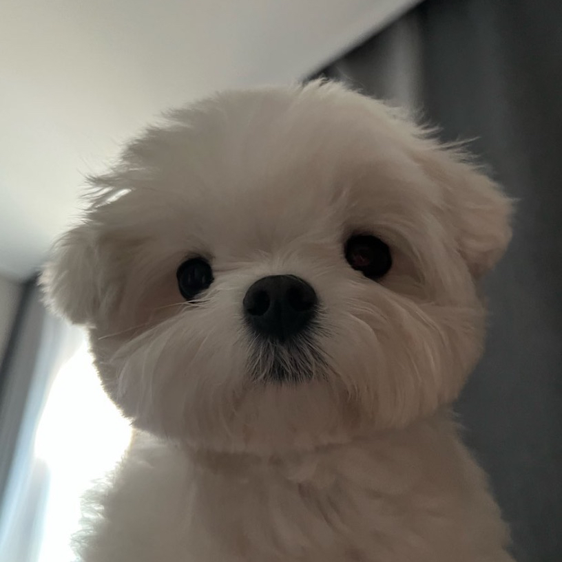 작성자 프로필 이미지