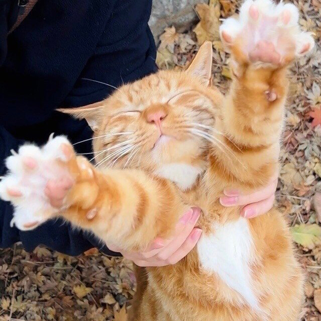 작성자 프로필 이미지