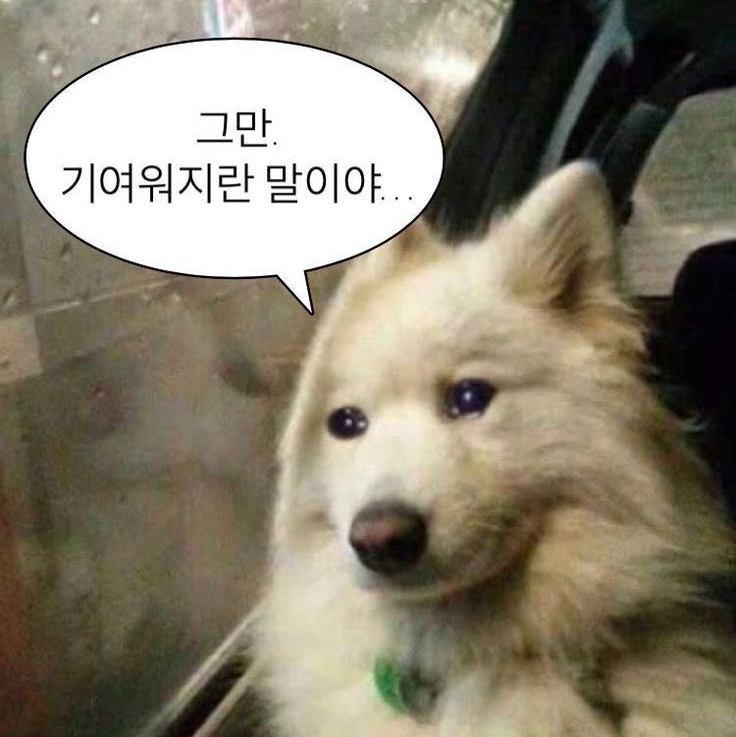 테이블 소개 이미지