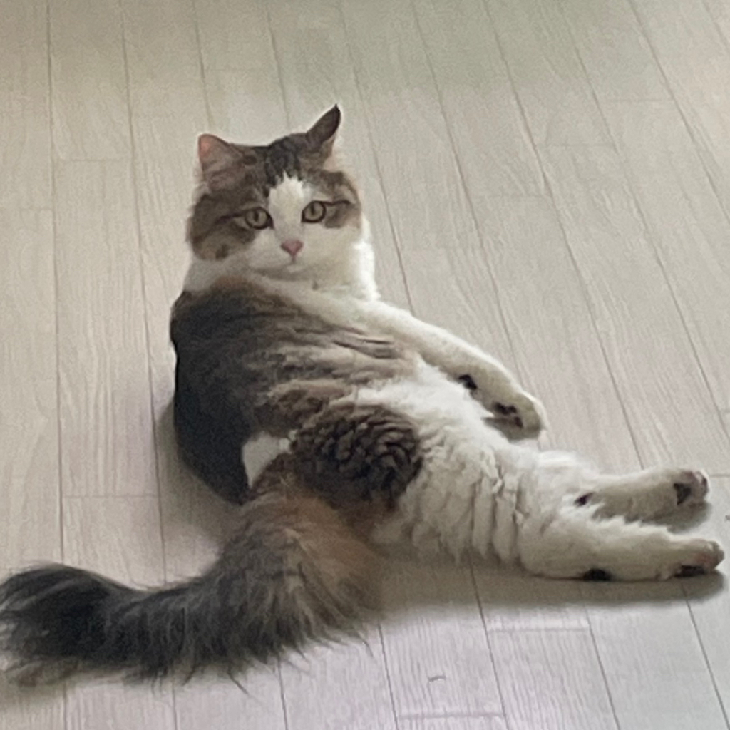 테이블 소개 이미지