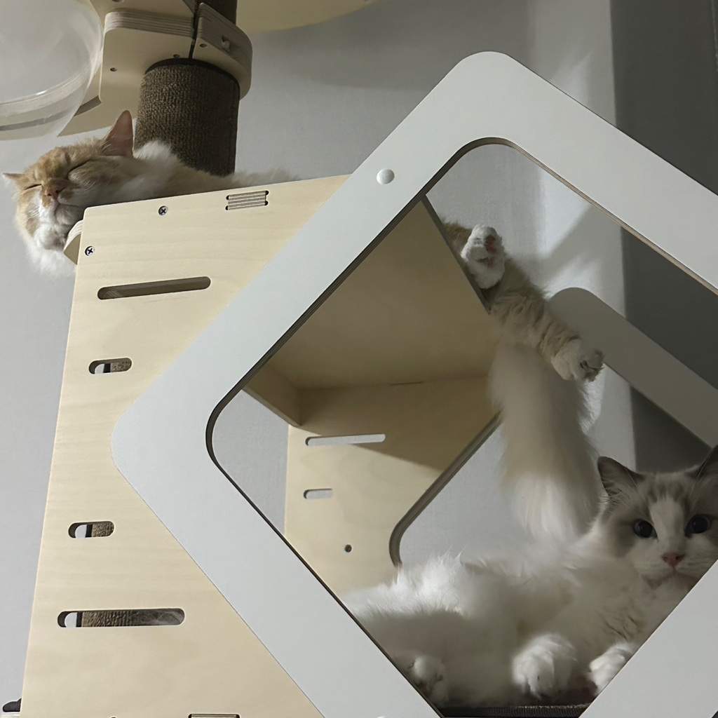 작성자 프로필 이미지