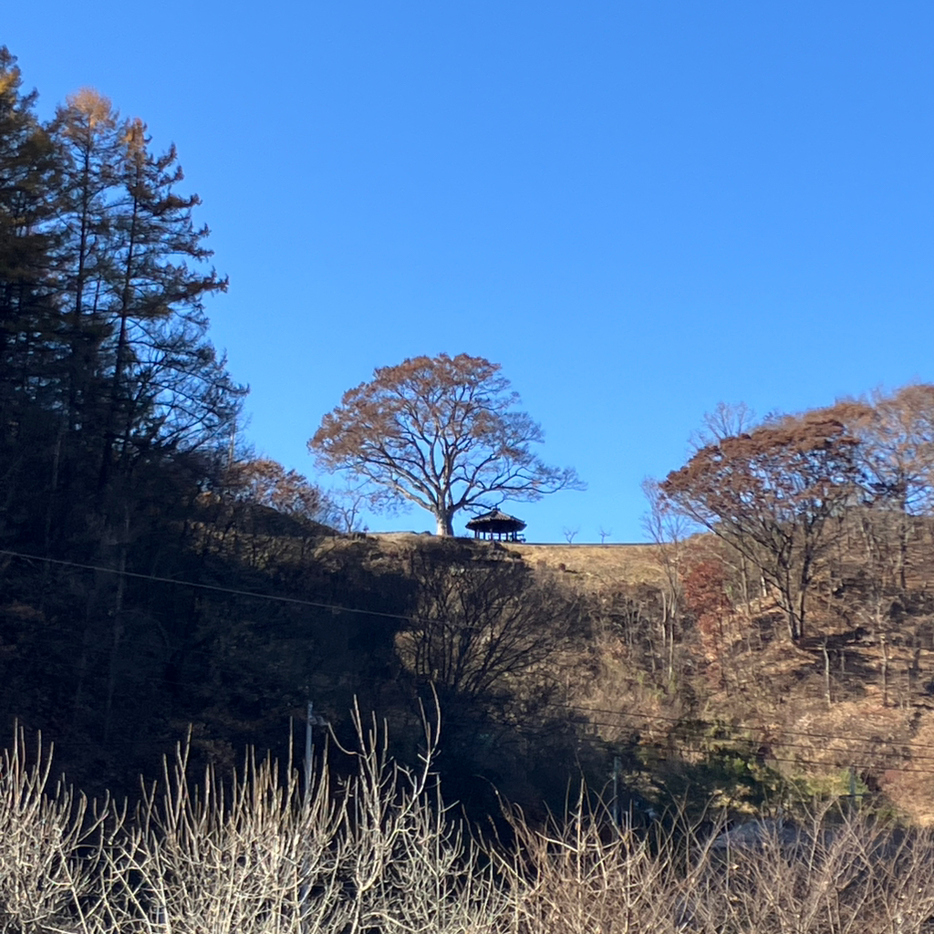 작성자 프로필 이미지