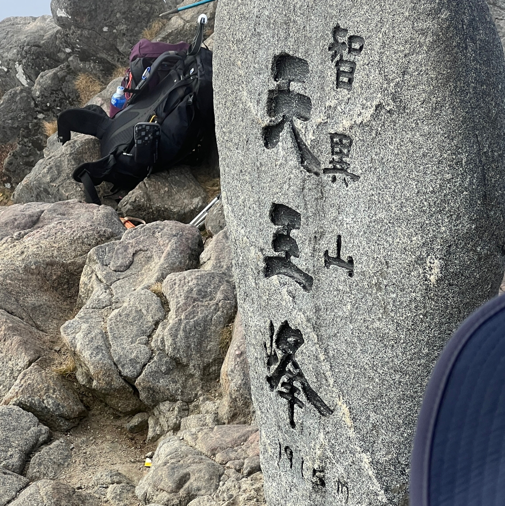 작성자 프로필 이미지