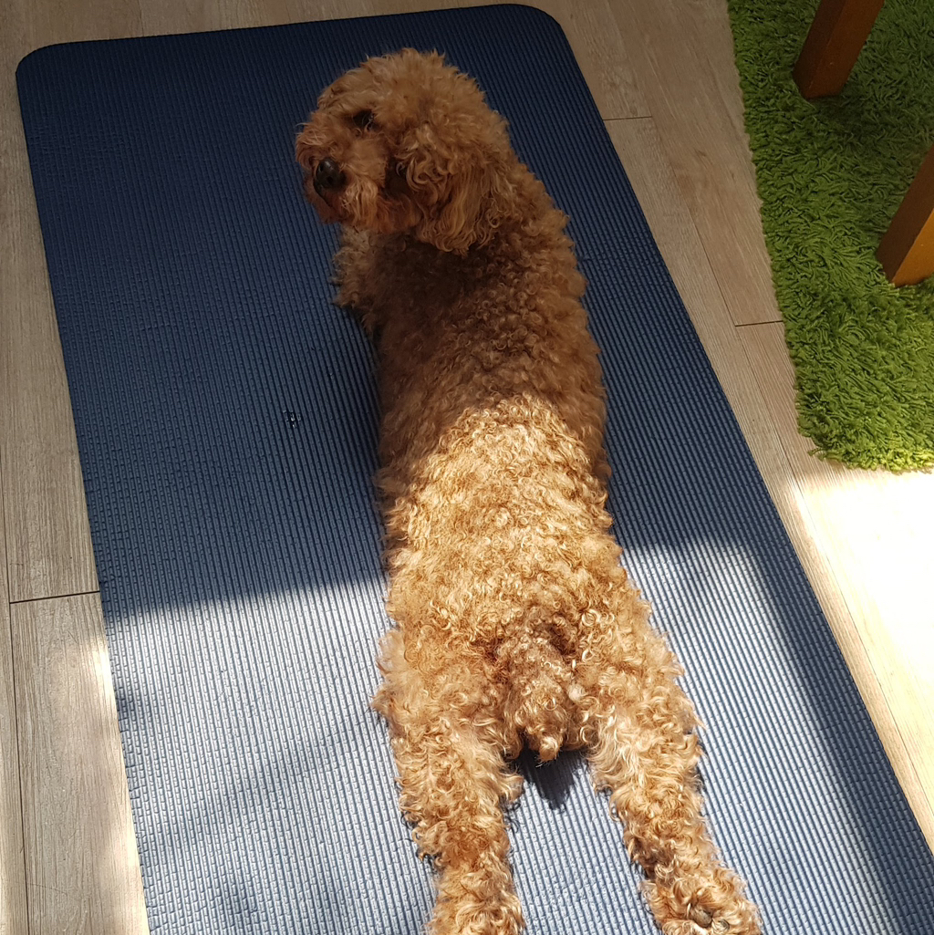 테이블 소개 이미지