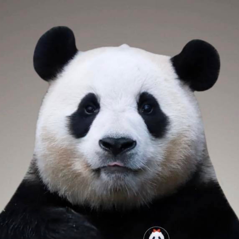 테이블 소개 이미지