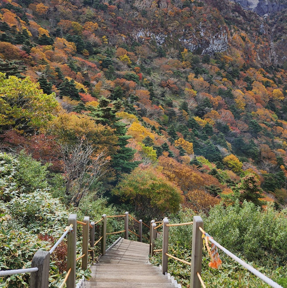 테이블 소개 이미지